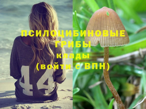 не бодяженный Сатка