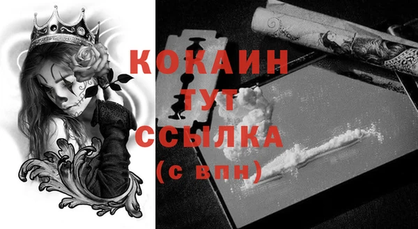 дживик Сафоново