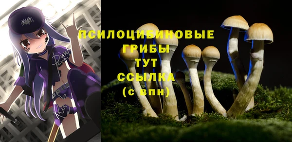 спиды Абдулино